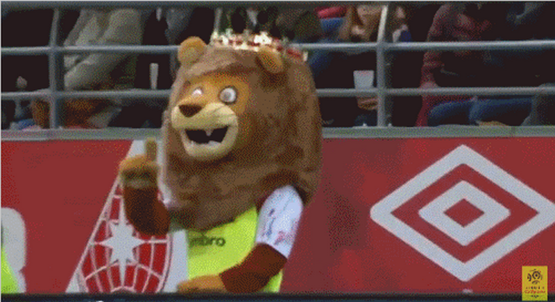 兰斯队吉祥物——小狮子奥古斯特